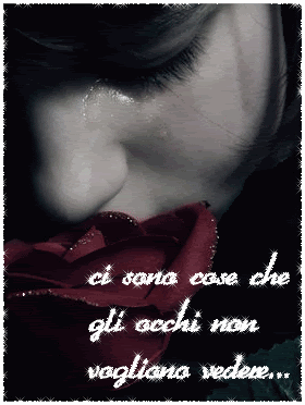 cisonocose.gif