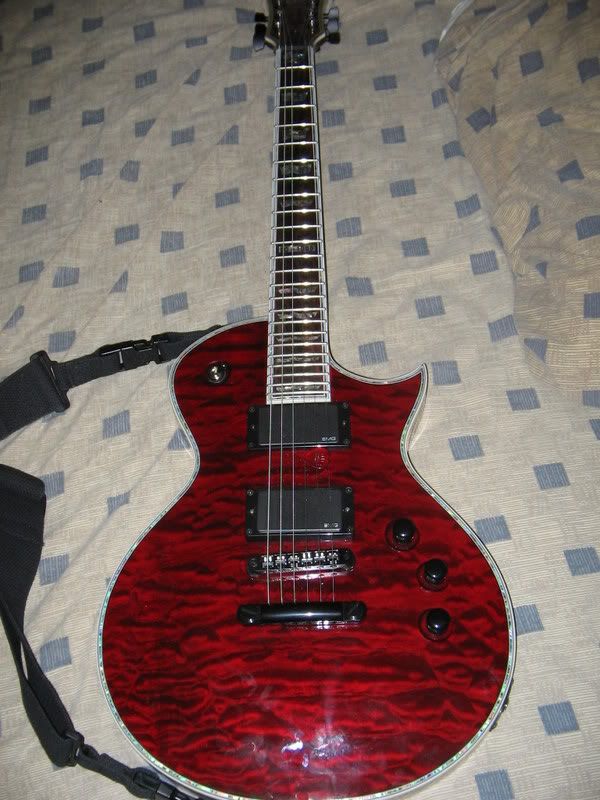 guitarsandme007.jpg