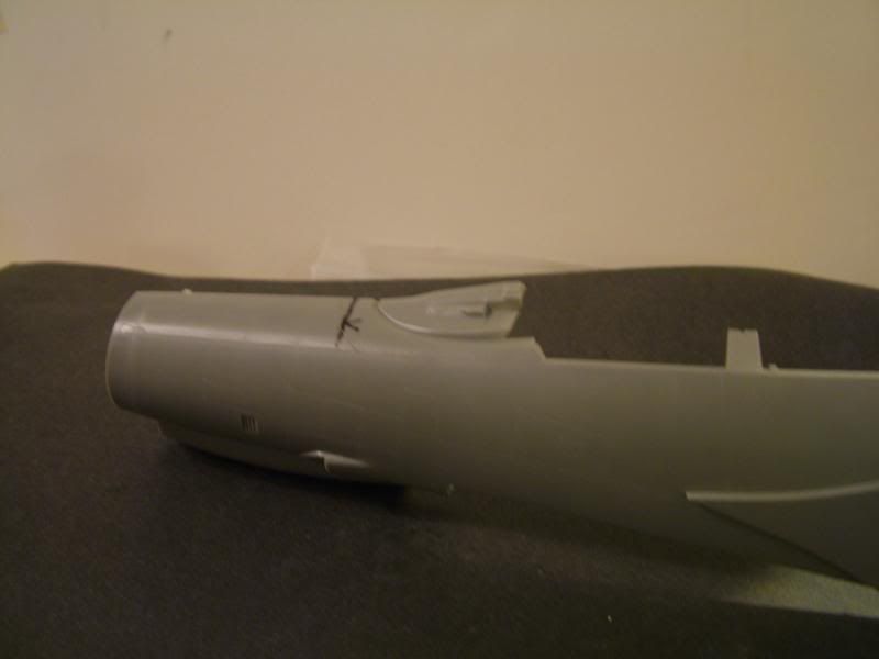 canopymod2.jpg