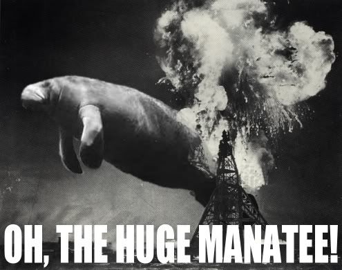 z_hugemanatee.jpg