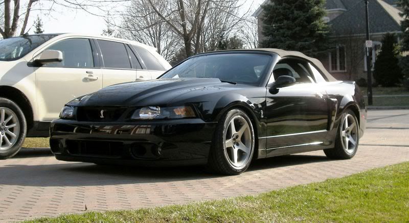 cobra2a003.jpg