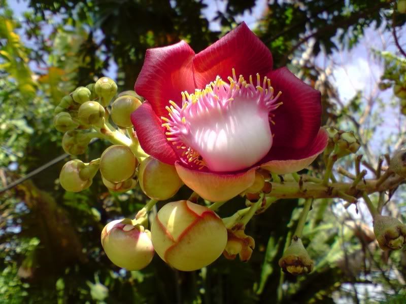 Gặp nhau cuối tuần  Club Tửu Lượng Vô Biên - 13