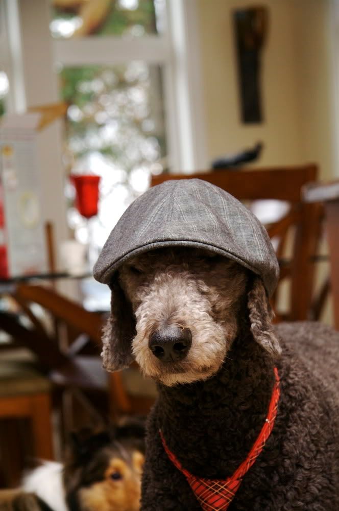 IMAGE: http://i69.photobucket.com/albums/i77/Shoreliner11/IMG_0063.jpg