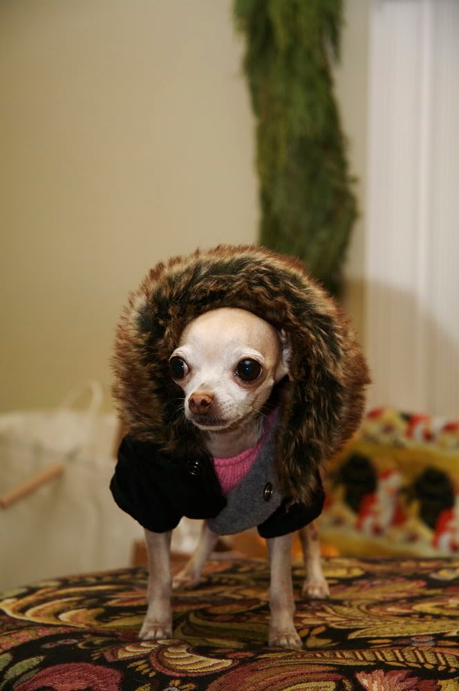 IMAGE: http://i69.photobucket.com/albums/i77/Shoreliner11/IMG_0107.jpg