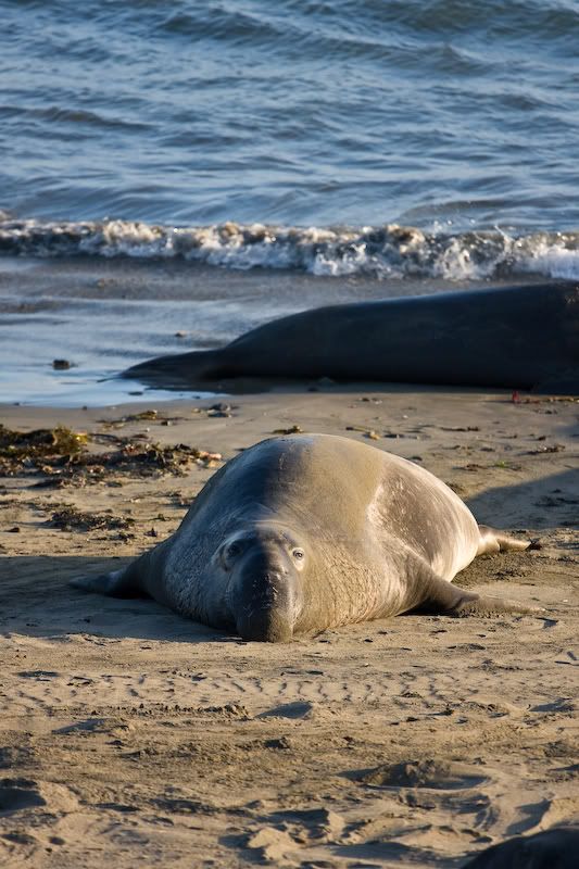 IMAGE: http://i69.photobucket.com/albums/i77/Shoreliner11/IMG_0224.jpg