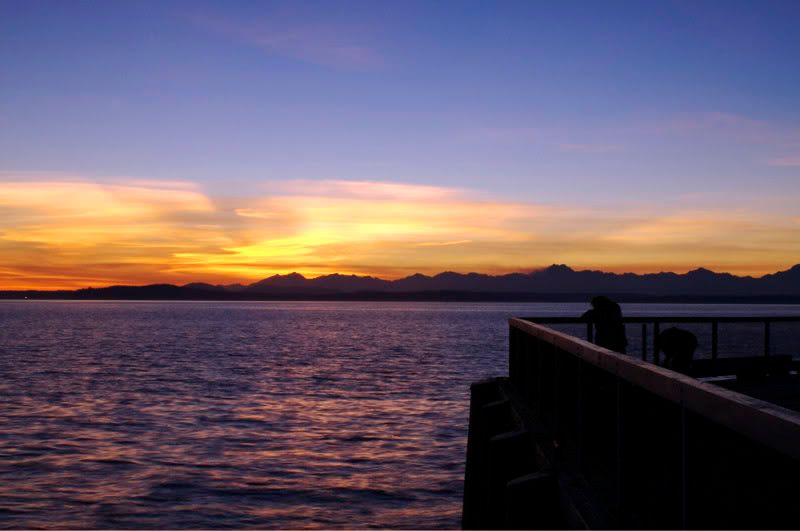 IMAGE: http://i69.photobucket.com/albums/i77/Shoreliner11/Zizou/IMG_00262.jpg