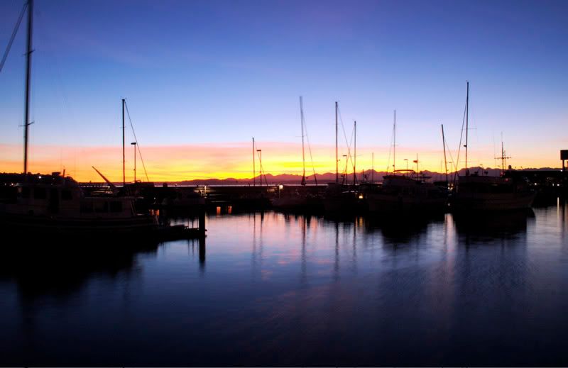 IMAGE: http://i69.photobucket.com/albums/i77/Shoreliner11/Zizou/IMG_0050-2.jpg