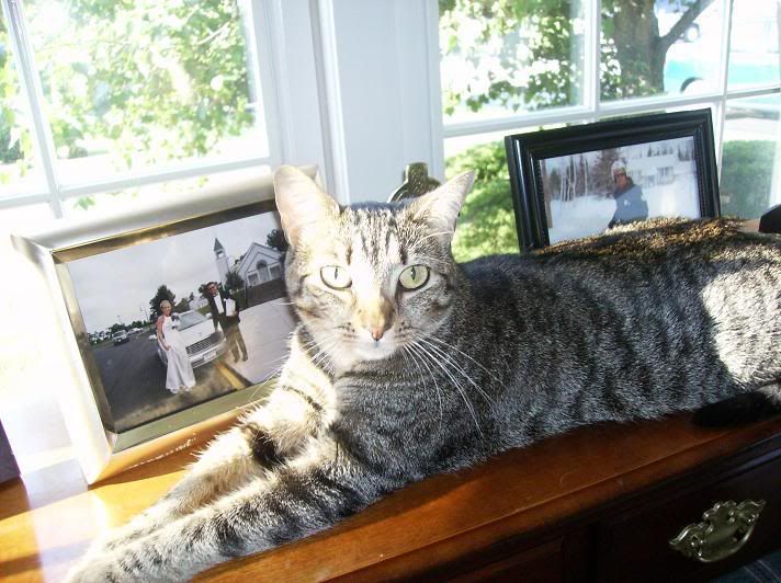 It's Miss Holly's 14th birthday today