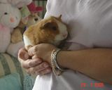 firstpic.jpg image by mubbycouk
