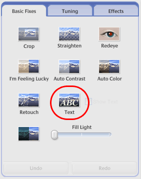 The Text button in Picasa 3