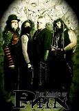 TheSaintsofPainWebWash.jpg image by bowbeforenone