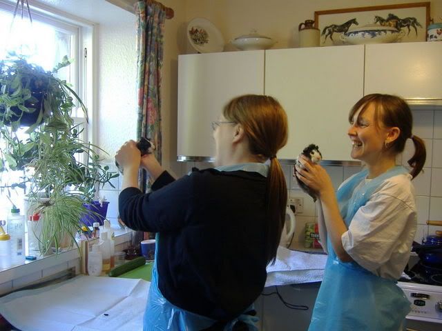 katebeks005.jpg