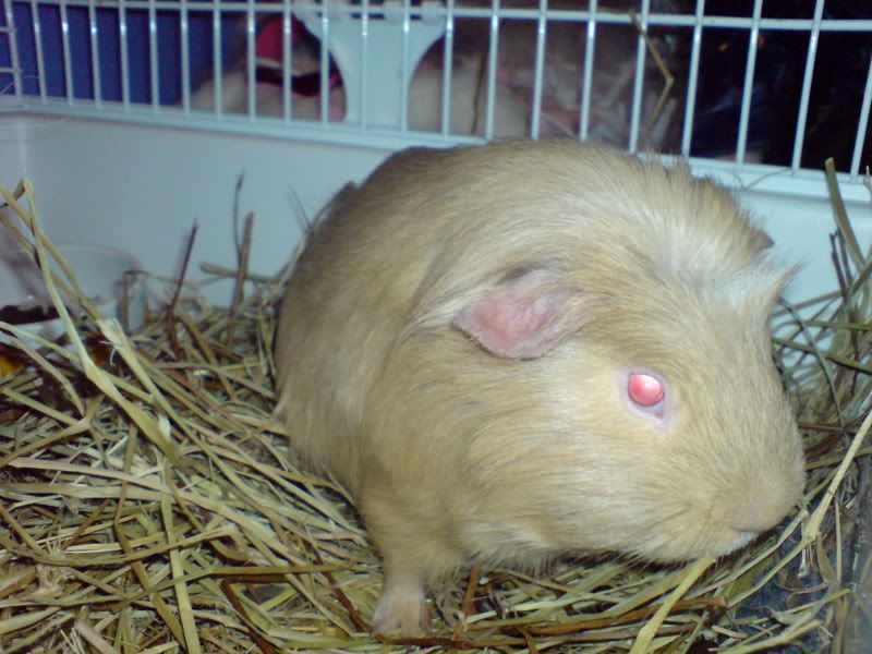 DSC00026.jpg
