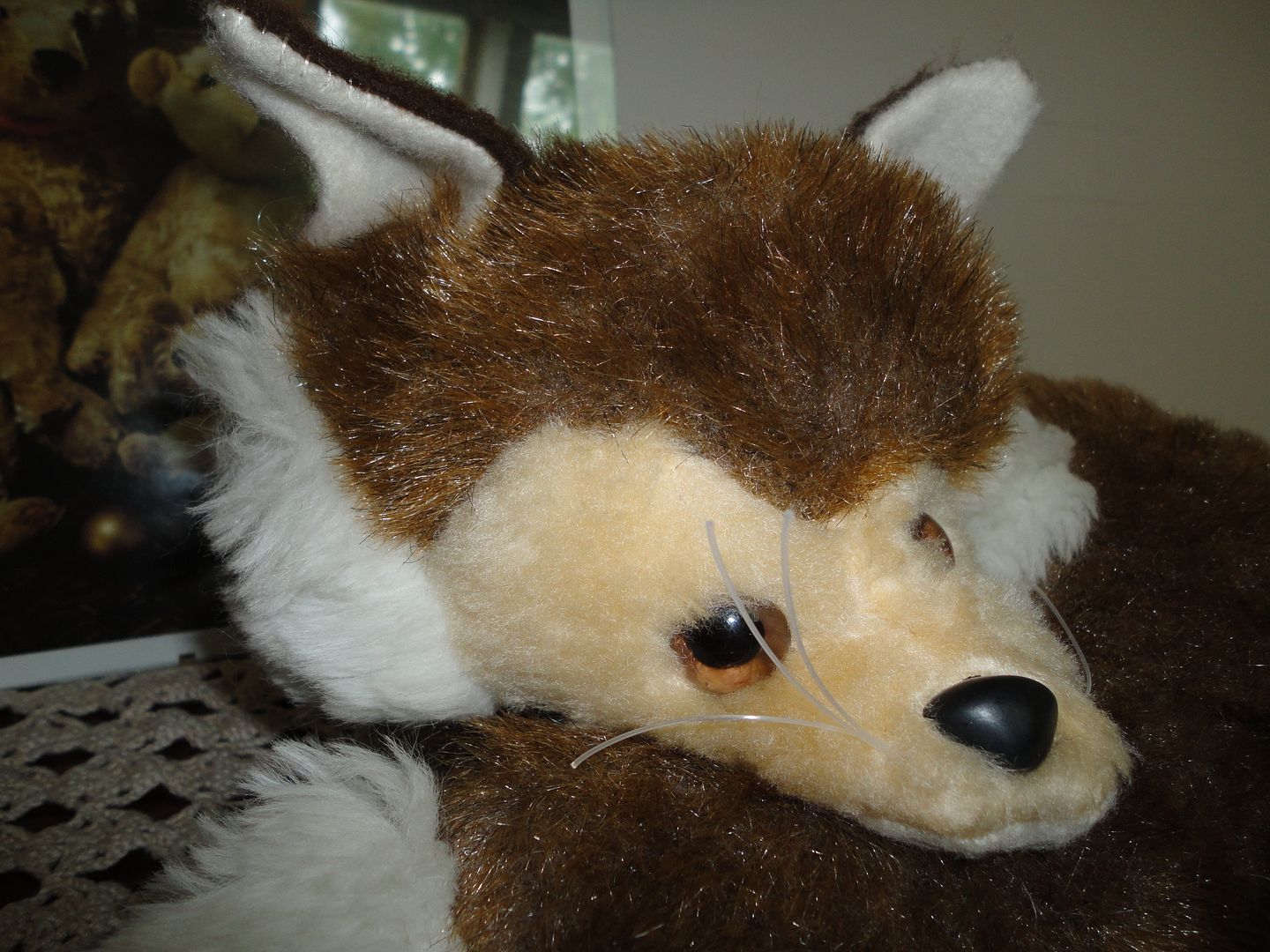 photo DSC02483.jpg