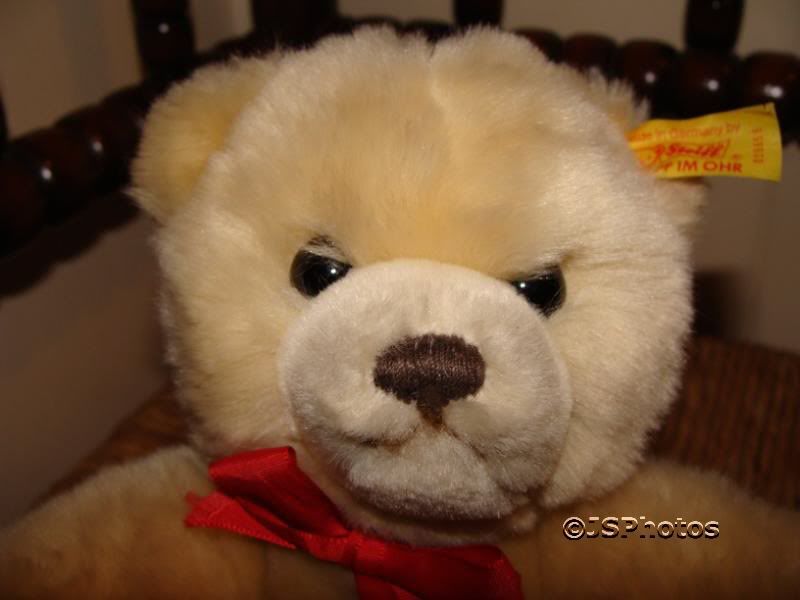 molly steiff teddy bear