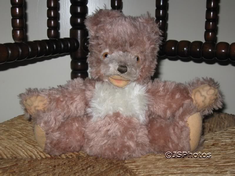 Steiff Original Vintage 1961 Petsy Bear Dralon 6625,03 | eBay