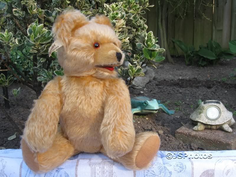 1950s teddy bear with growler