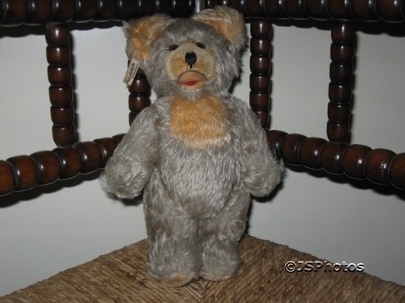 Antique Fechter Old Bear Authentic Austria 9.8 Inch Mohair  