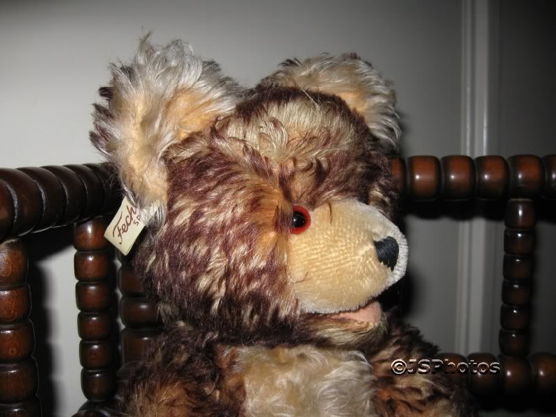 Antique Fechter Old Teddy Bear Austria 17.7 Inch Mohair  