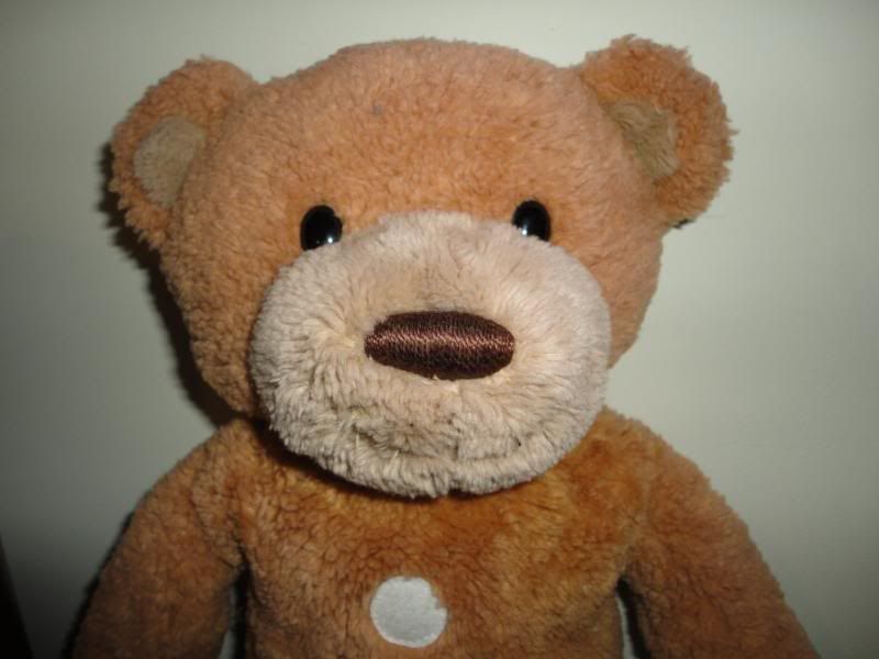 gund ginger bear