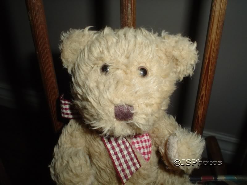 Ruby Bear With Diabetes Plush #24025 Russ Berrie for sale online