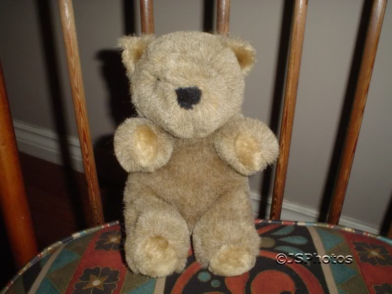 Gund Vintage 1982 Brown Bear 8.5 Inch | Jadees Antique Bear Shoppe