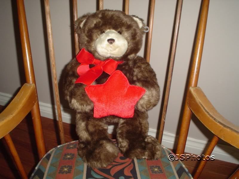 Gund Musical Bear   When You Wish Upon A Star 46410  