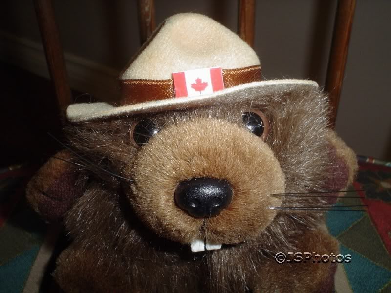 Stuffed Animal House RCMP Canada Beaver Corp Flapjack  