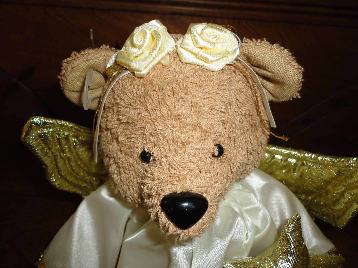 photo DSC03133.jpg