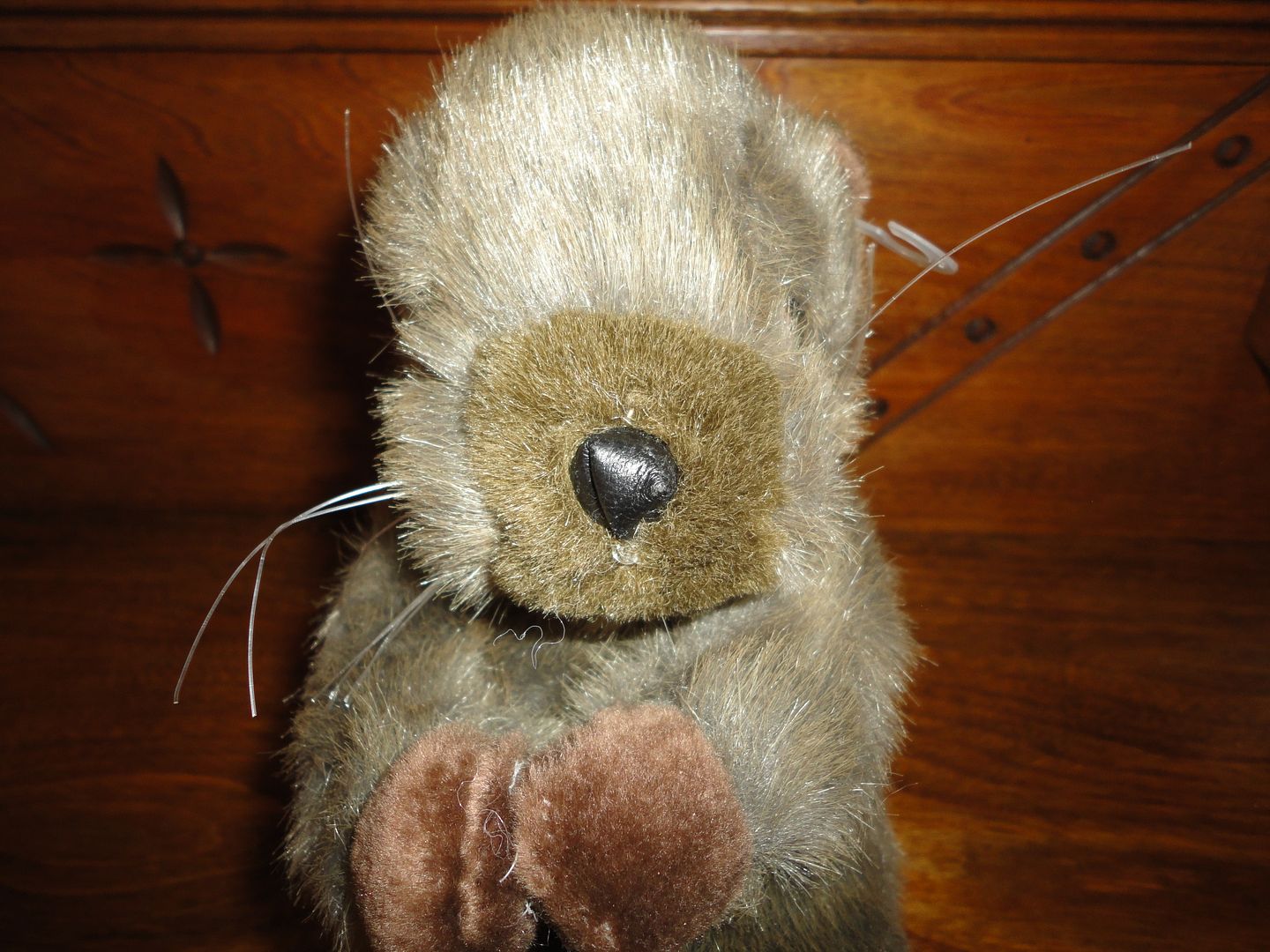 photo DSC03351.jpg