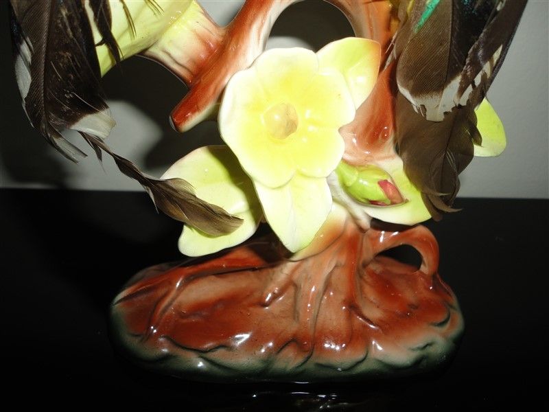 photo DSC08953.jpg?width=800&height=600&fit=bounds