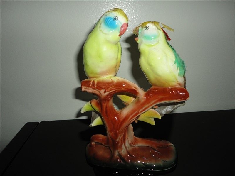 photo DSC08954.jpg?width=800&height=600&fit=bounds