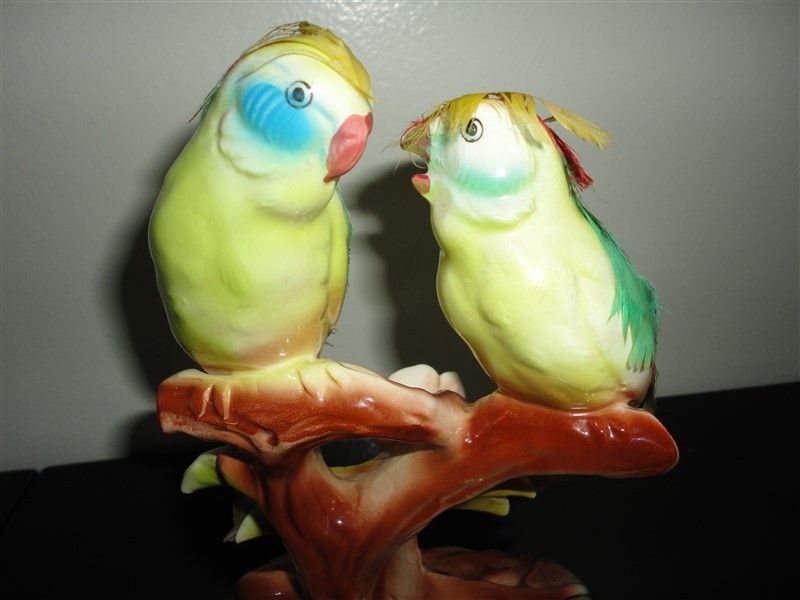 photo DSC08956.jpg?width=800&height=600&fit=bounds