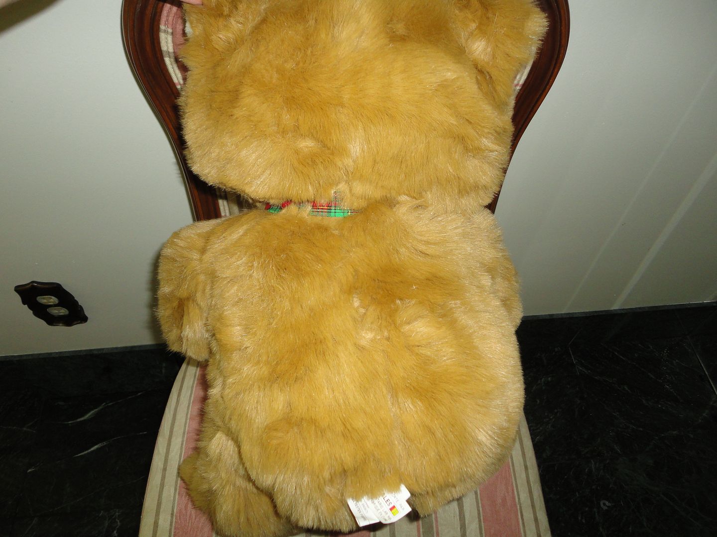 photo DSC08101.jpg