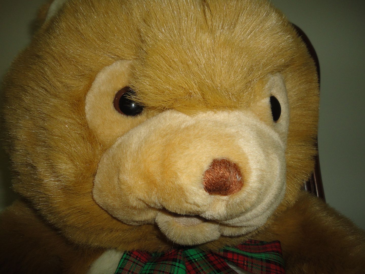 photo DSC08103.jpg