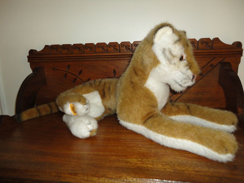 photo DSC00476.jpg