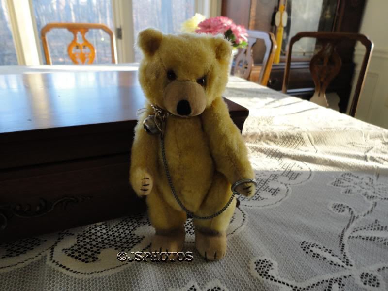 Antique TEDDY BABY Mohair Bear with CHAIN Made in JAPAN  