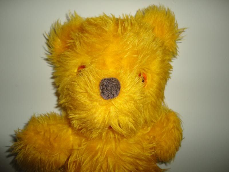 yellow teddy