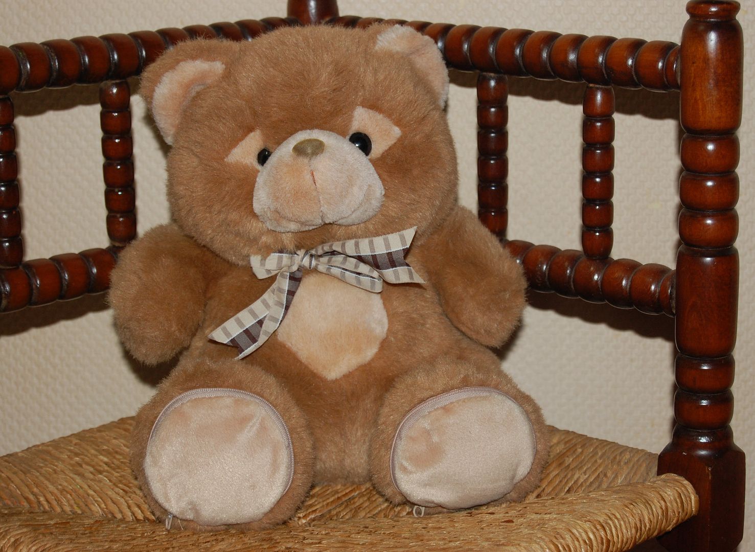 teddy bear with zipper compartment