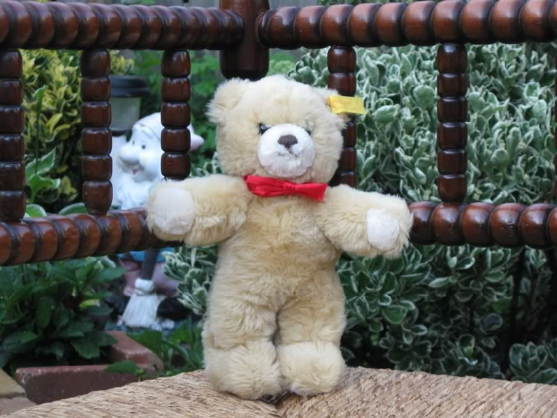 molly steiff teddy bear