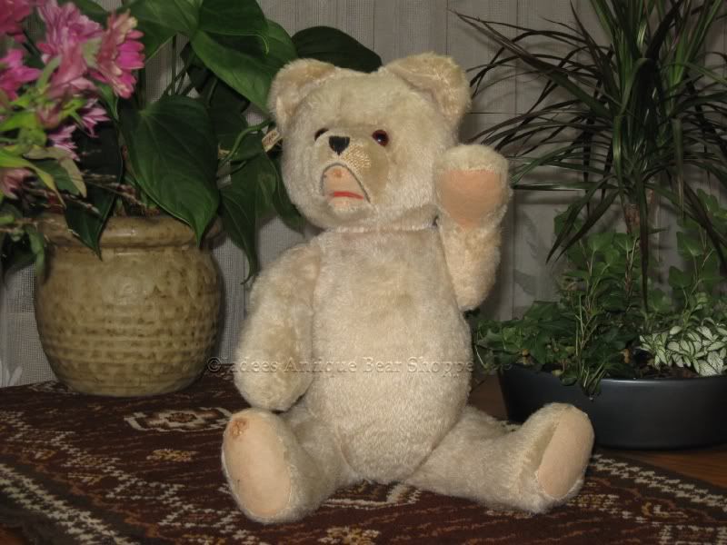 Antique Fechter Austria Bear Rare White Mohair 17 Inch  