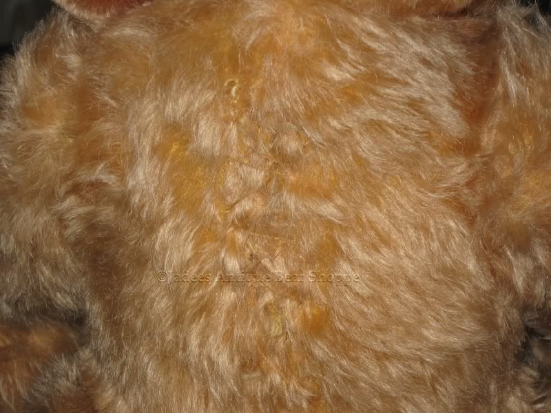 Antique Fechter Austria Bear RARE Blonde Mohair 13 Inch