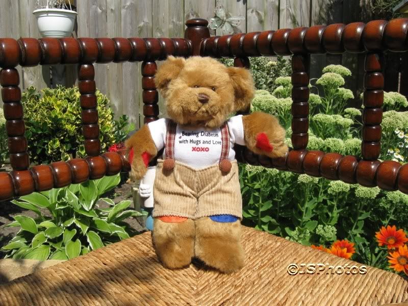 Russ Berrie UK Rufus the Diabetes Bear by Carol Cramer | Jadees Antique ...