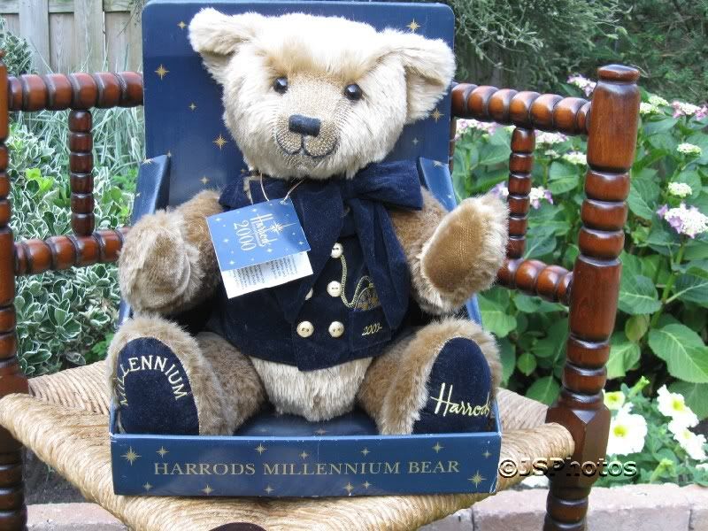 Harrods UK Millennium Teddy Bear Plush 13 inch Brand NEW in Box 2000 | eBay