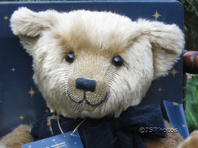 harrods teddy bear 2000