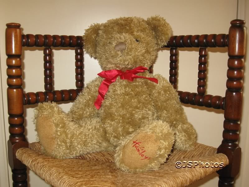 hamleys large teddy bear