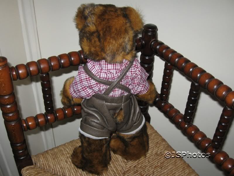 German 15 Inch Jointed Brown Bear Traditional Clothing  