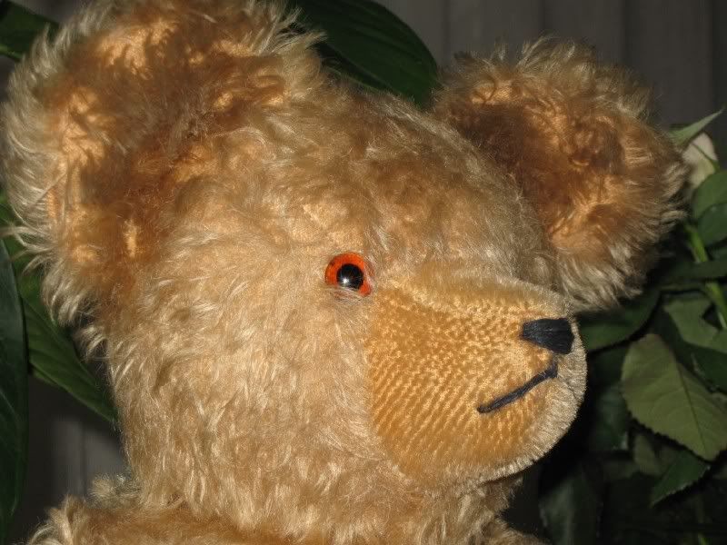 Antique Hermann Bear
