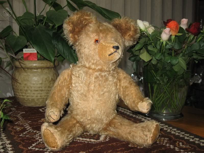 Antique Hermann Bear
