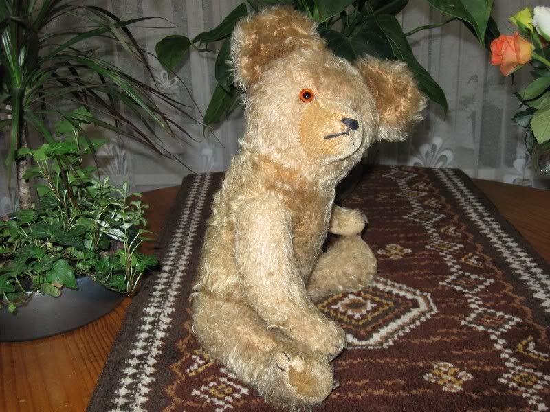 Antique Hermann Bear